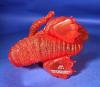Shin Godzilla 4th Form Clear Red DefoReal by X-Plus Wonder Fest Exclusive — image 4