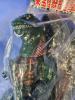 Shin Godzilla Fourth Form Green Version Sofubi Figure by Sunguts MIB — image 2
