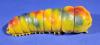 Mothra Larva Bullmark Figure Mini Size (1970s) — image 2