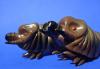 Mothra Larva Figure Set by Marmit Para-Baby — image 1