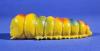Mothra Larva Bullmark Figure Mini Size (1970s) — image 4