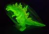 Godzilla 2000 (MireGoji) Purple Glow Figure by Marmit MIB — image 2