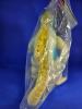 Godzilla 1962 Figure by Marmit MIB Glow Toy Fest Exclusive — image 4