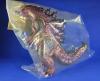 Godzilla 2019 Artisan Dynasty Monarch Edition by Spiral MIB  — image 3