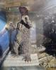 X-Plus Godzilla 1955 Godzilla Origins Chess Piece MIB — image 2