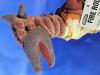 Toy Vault Fire Rodan Plush w/Tag — image 1