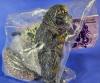 Godzilla 1964 w/Mothra Larva Sofubi by Kaiju Smuggler MIB — image 6
